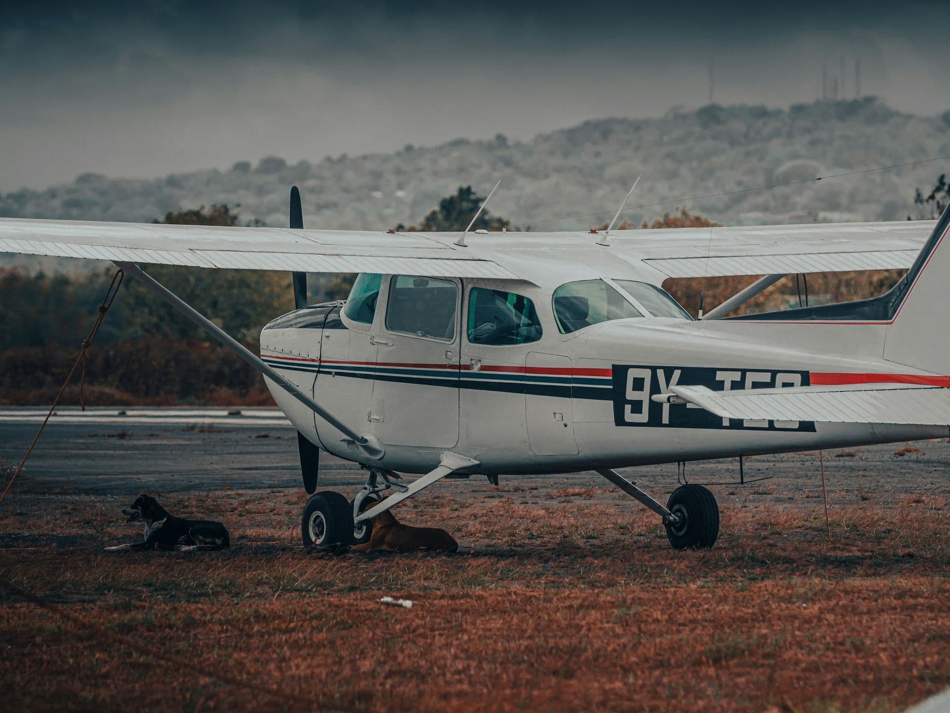 A white high-wing Cessna trainer parked on the edge of a ramp